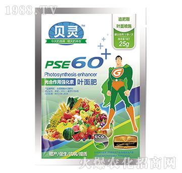 ؐ`PSE60~-S(l)