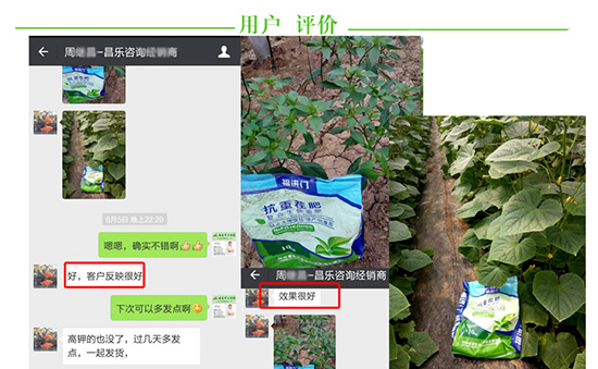 福進門抗重茬復合生物菌肥4