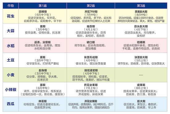 小龍人高產(chǎn)四飽-弘星利爾2