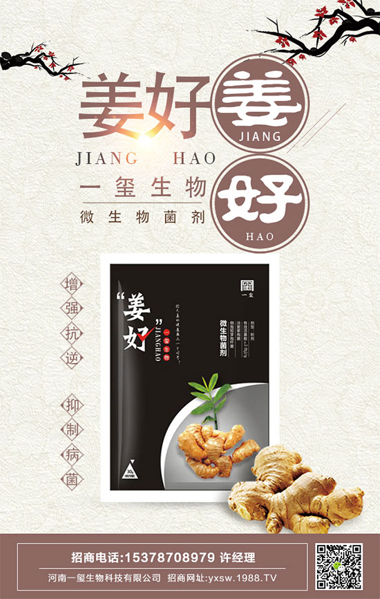 茄子的功效與作用，茄子的營養(yǎng)價值