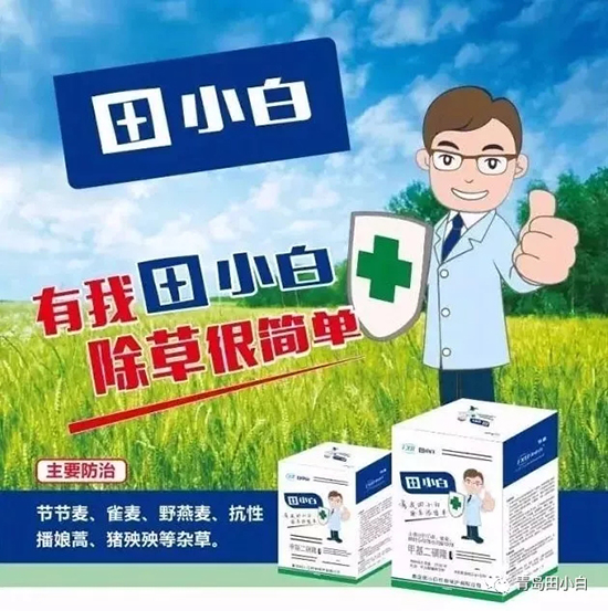 節(jié)節(jié)麥如何防除，用什么藥？怎么打藥效果好？