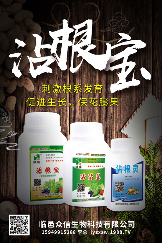 大棚種植黃瓜優(yōu)質(zhì)高產(chǎn)管理，肥料需要這樣施！