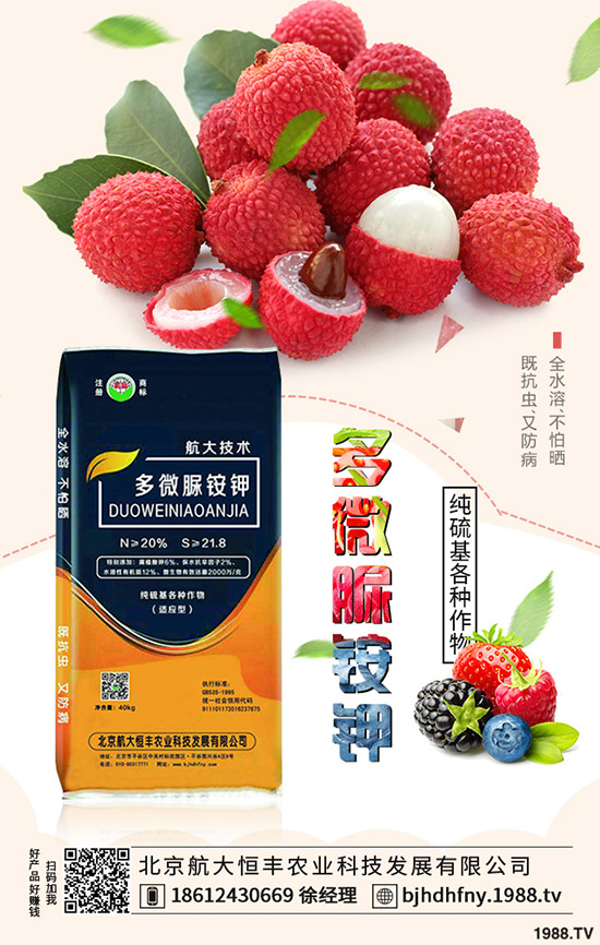 茄子早衰是什么原因？哪些方法能夠預(yù)防茄子早衰？