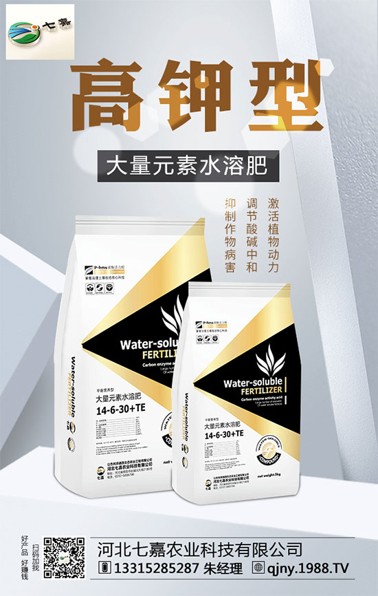 山藥價(jià)格多少錢一斤？2020年山藥種植前景分析！