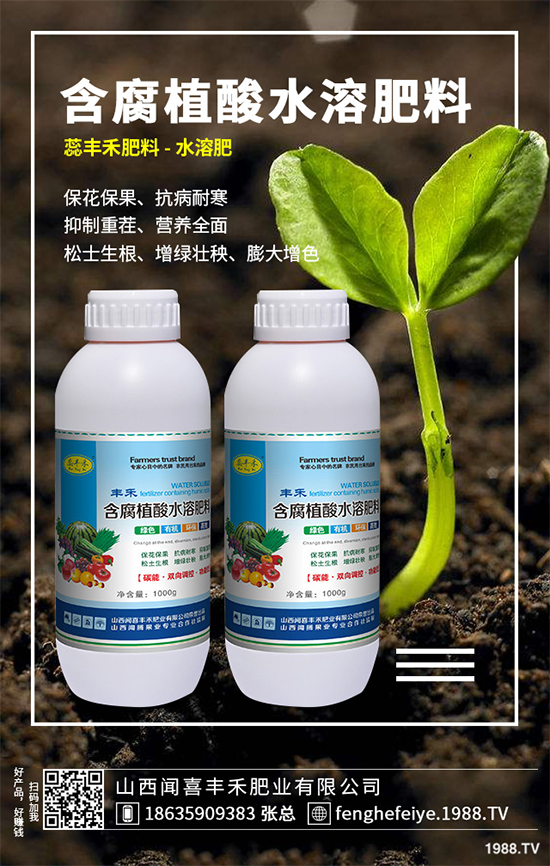 盆栽蔬菜該怎么種？盆栽蔬菜的高產(chǎn)種植技術(shù)