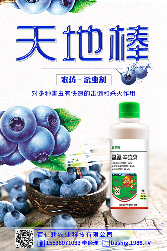 空心菜用什么肥好，空心菜的施肥技巧有哪些？