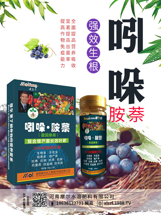 煙草主產(chǎn)地在哪里，煙草種植方法有哪些？