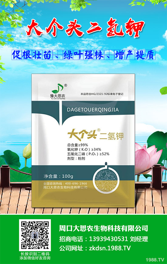 洋薊該如何種植？洋薊高產(chǎn)種植技術(shù)方案