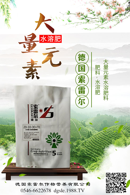 青棗的功效與作用，吃青棗有什么好處？