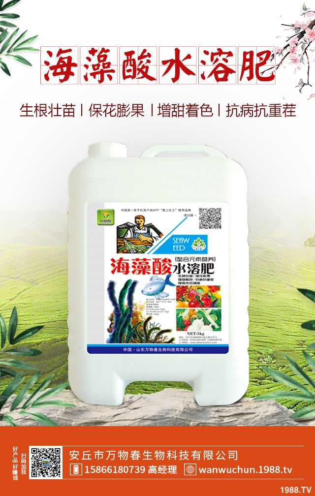 紫皮蒜怎么種植？紫皮蒜的種植管理方法