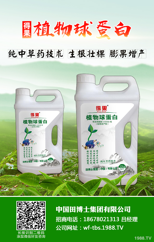 大蔥種植怎么管理？秋季大蔥管理好方法