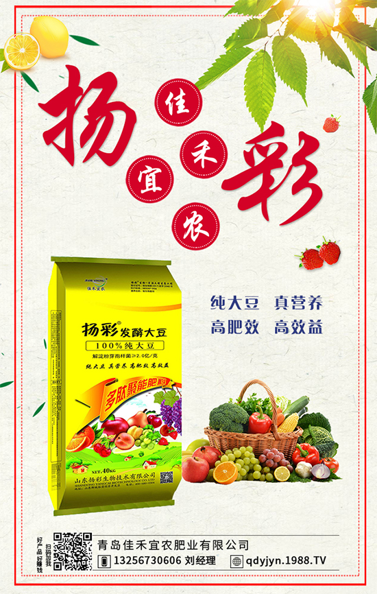 秋茬西紅柿要想產(chǎn)量高，如何澆水沖肥？