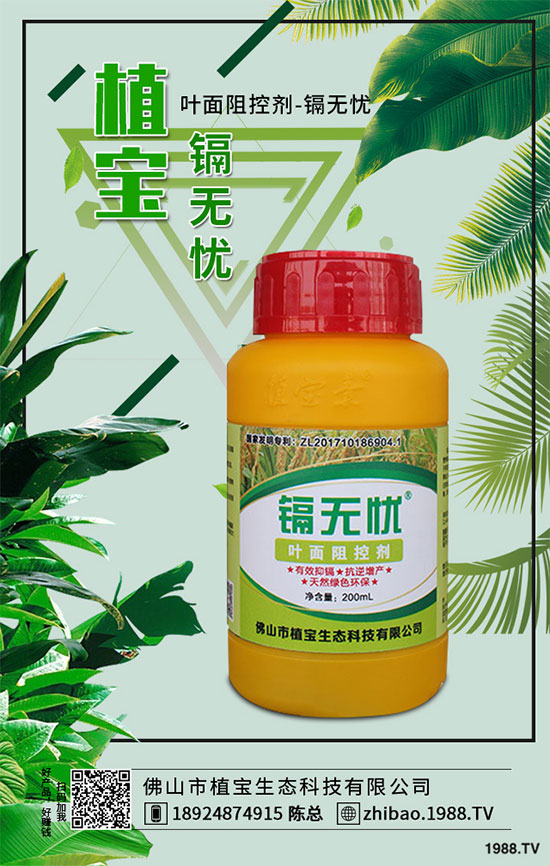 秋季大蔥什么時(shí)間種植？2019秋茬大蔥種植技術(shù)指南