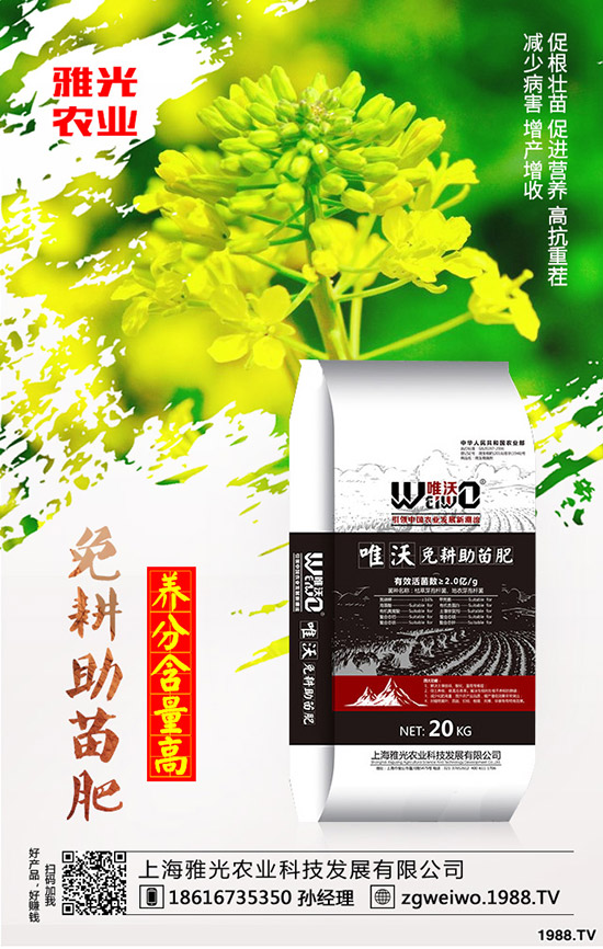 紫薯有哪些營養(yǎng)價(jià)值，紫薯與紅薯相比哪個(gè)更有營養(yǎng)？