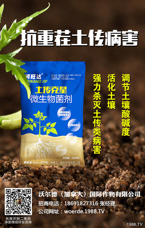 茄子什么時候育苗，茄子育苗的方法有哪些？