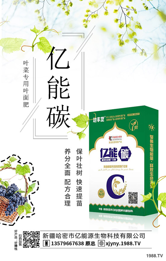 板栗樹(shù)怎么種植，板栗高產(chǎn)種植要點(diǎn)！