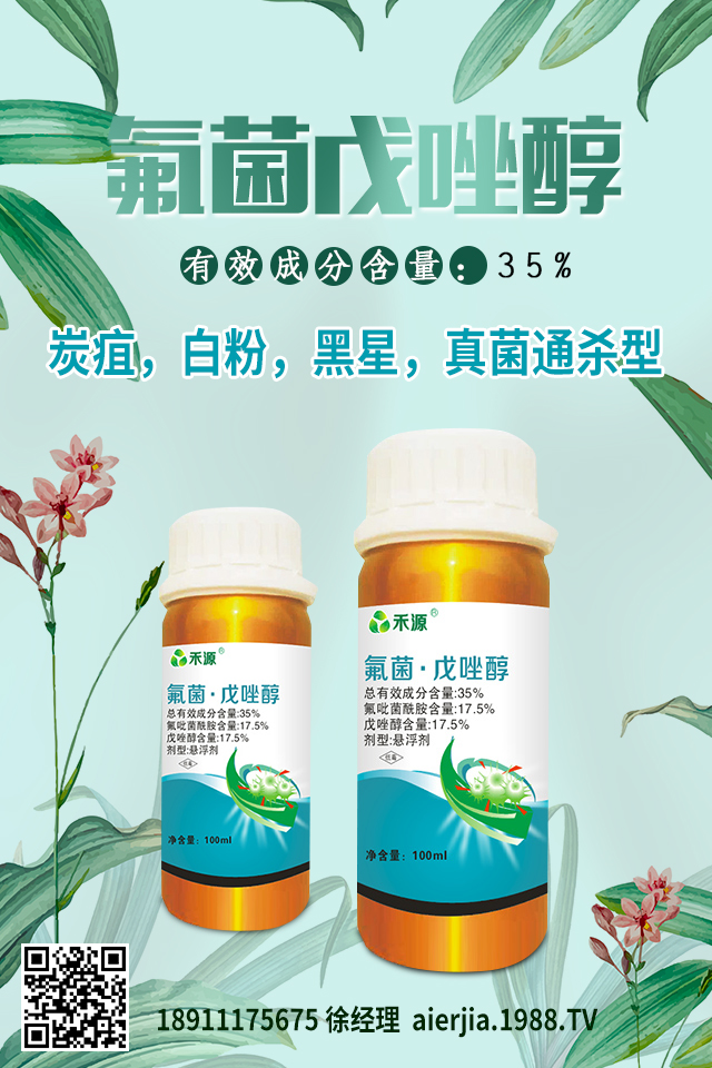 芹菜黑心腐爛怎么防治？芹菜黑心腐爛要對(duì)癥防治