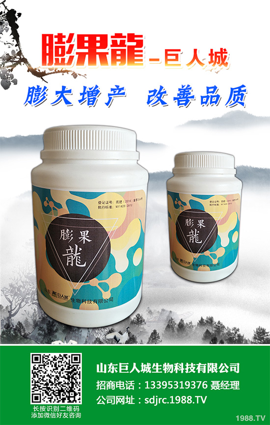 萵苣該如何施肥？萵苣的高產(chǎn)施肥技術(shù)有哪些？這些方法很重要！