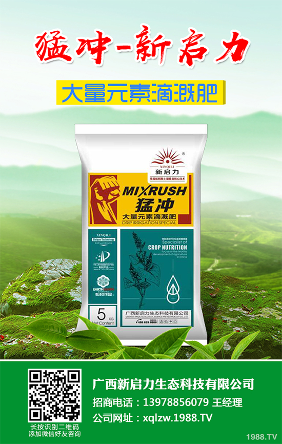 茼蒿葉斑病危害這么大，到底該如何防治？茼蒿葉斑病防治措施