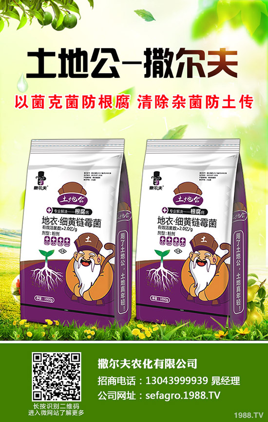 陽臺(tái)香蔥如何栽培？新手入手推薦陽臺(tái)家庭香蔥種植方法！