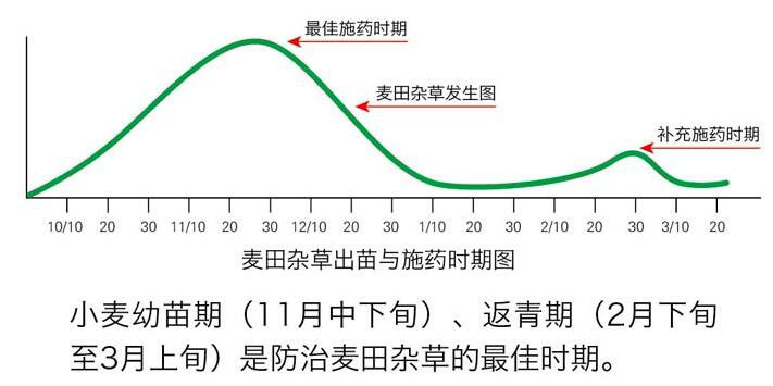 30克每升甲基二磺隆-節(jié)節(jié)斬-化工4