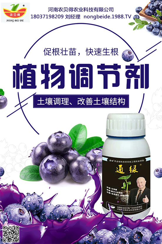 種植生姜施肥要點(diǎn)，生姜施肥用什么肥料？