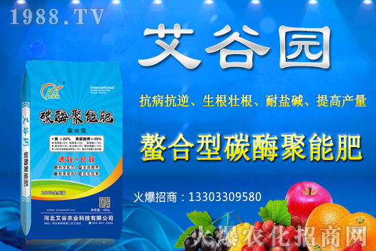 大豆價(jià)格抬頭還會(huì)繼續(xù)漲嗎？2020年秋季大豆價(jià)格預(yù)測(cè)