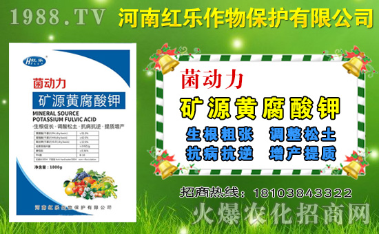 國(guó)內(nèi)磷銨價(jià)格市場(chǎng)行情早報(bào)2020.10.28