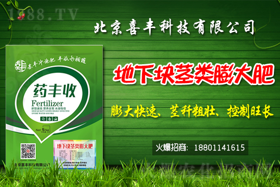     小麥價格還能繼續(xù)上漲嗎？2021春節(jié)前小麥價格預(yù)測！