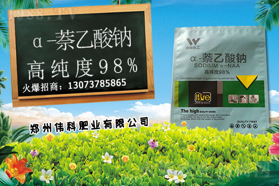 豆角種植時間是什么時候？豆角對環(huán)境條件有哪些要求？