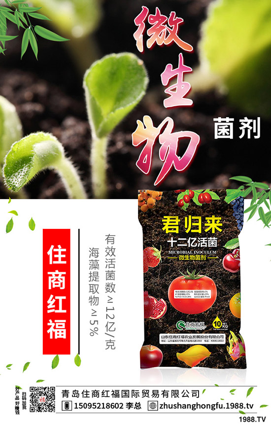 番茄肥害的典型癥狀有哪些，番茄發(fā)生肥害怎么辦？