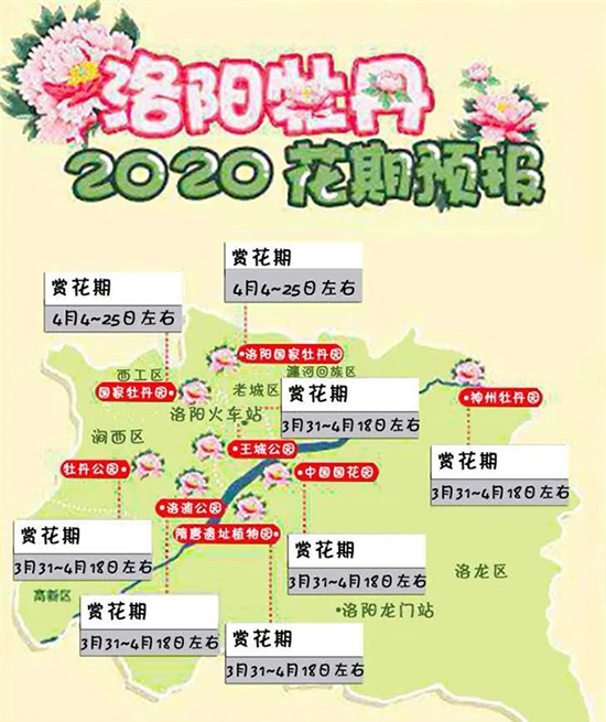 2020洛陽牡丹花會(huì)