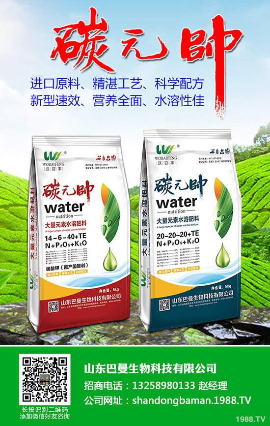     為保磷銨國內(nèi)需求，湖北火力全開！2020-3-19最新磷肥價格！