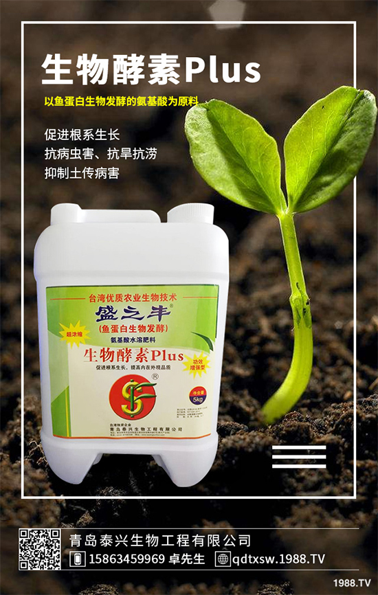 菜菔子有哪些神奇功效？萊菔子的功效作用及食用禁忌