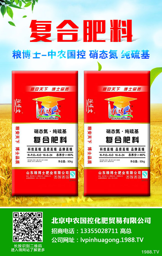 茭白什么季節(jié)種植，茭白種植技巧有哪些？