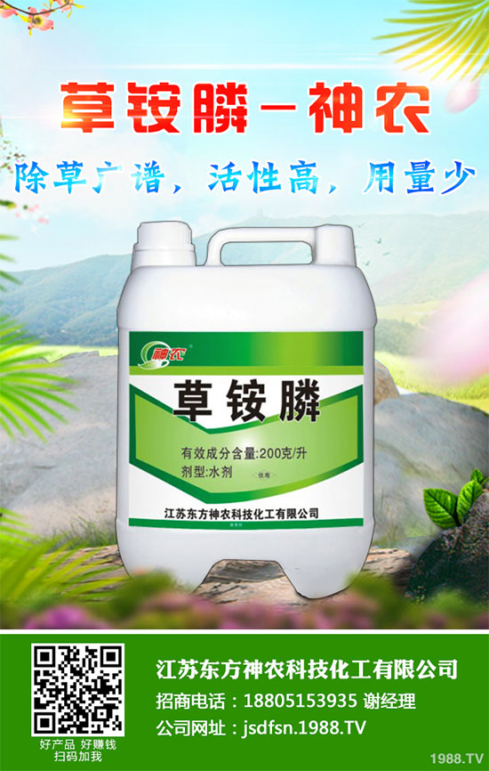 蒲公英種植如何實(shí)現(xiàn)高產(chǎn)？種植蒲公英效益如何呢？