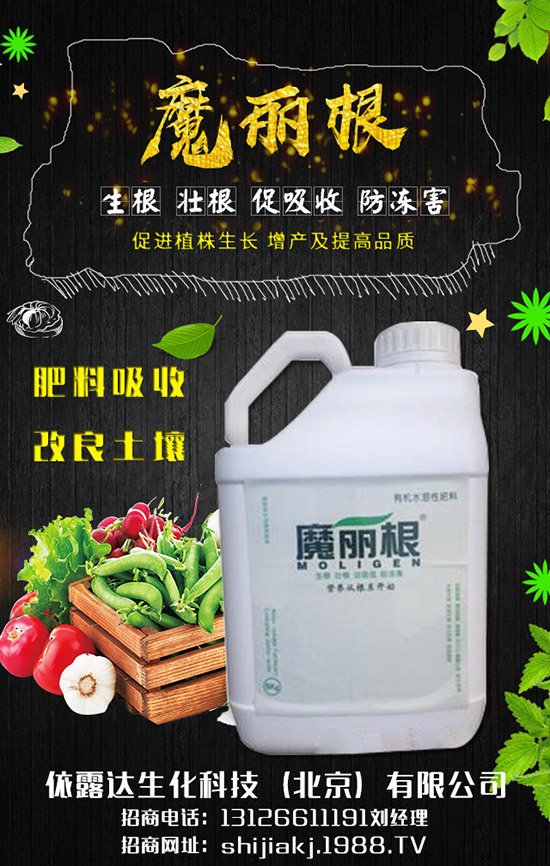 香蔥對環(huán)境的要求有哪些，香蔥的種植季節(jié)及日常管理！