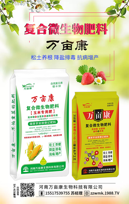 白掌不開花是什么原因？白掌不開花解決措施！