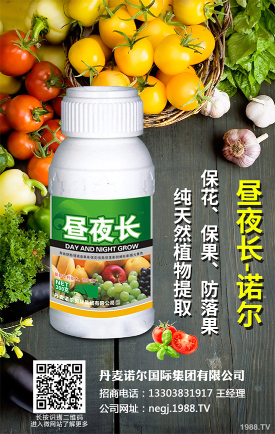 夏芹菜什么時(shí)候種植？該如何種植？夏芹菜高產(chǎn)種植技術(shù)