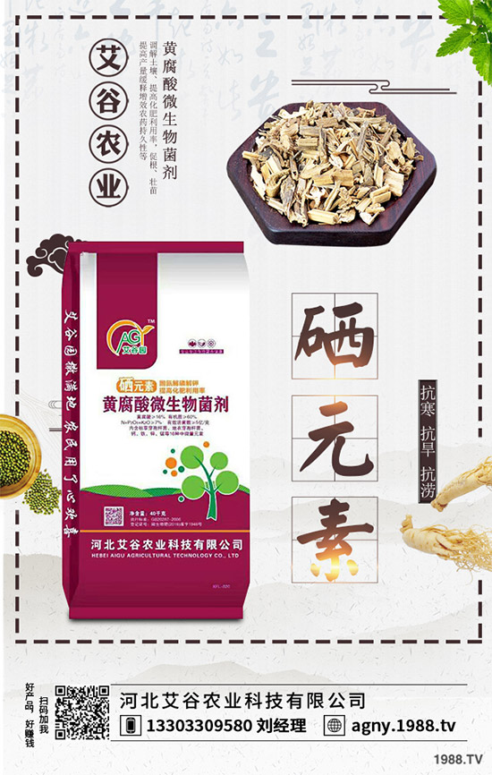 黑番茄該怎樣種植？如何管理才能獲得高產(chǎn)？黑番茄高產(chǎn)種植管理技術！