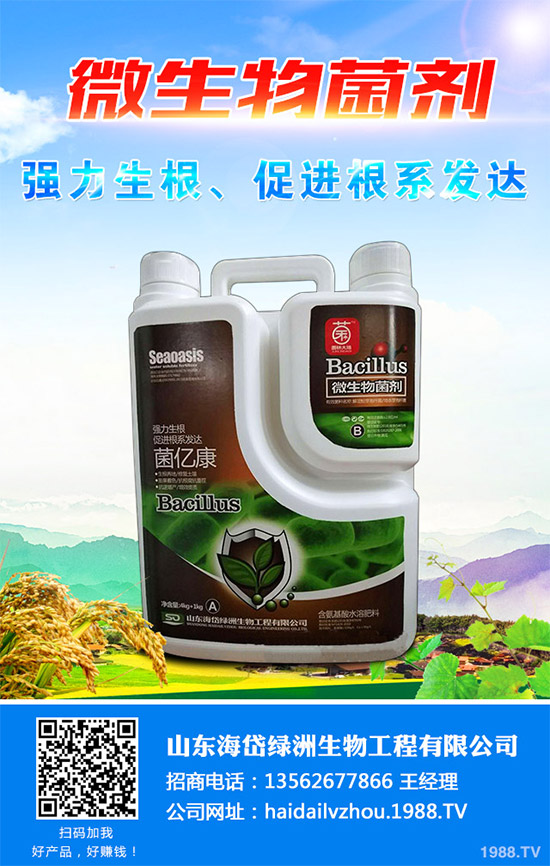 茼蒿該施什么肥料？如何施肥？聊聊茼蒿施肥那些事兒！