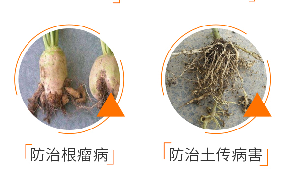 微生物菌劑哈茨木霉-止線俠-諾爾_05