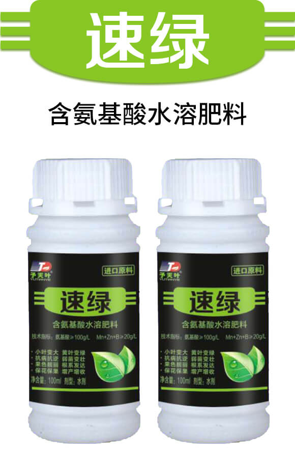 含氨基酸水溶肥料-速綠-天葉生物_01