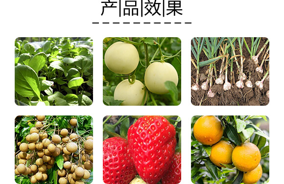 養(yǎng)根1號(hào)-地盛生物_08