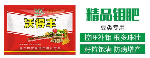 精品鉬肥豆類專用-偉科肥業(yè)_03