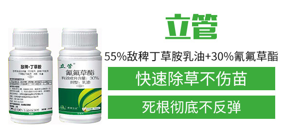 55%敵稗丁草胺乳油+30%氰氟草酯-立管-富邦作物_02