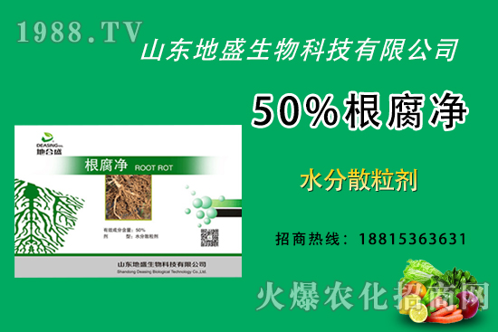 根腐病危害重，如何做好根腐病的防治？這樣做50%根腐凈！