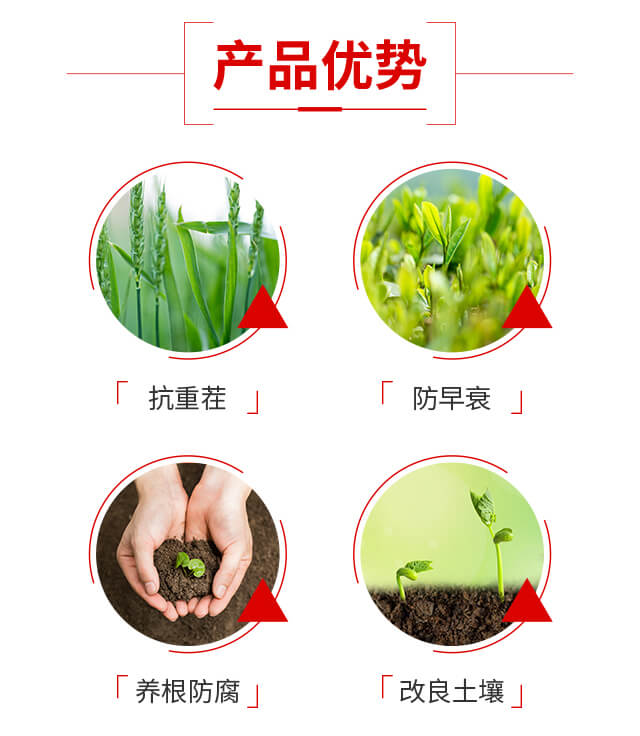 微生物菌劑-木美根福-豐碩沃農(nóng)-豐碩肥業(yè)_03