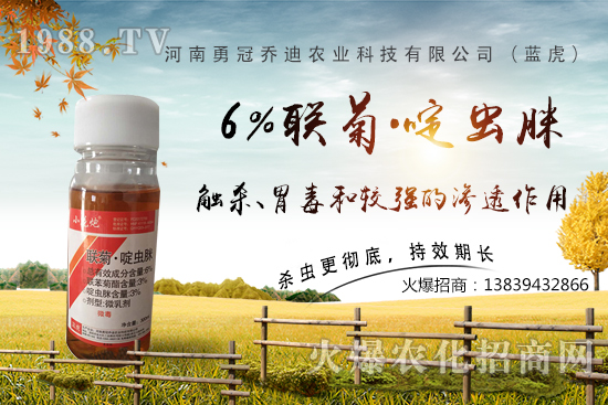 番茄白粉虱大爆發(fā)，防治難？“6%聯(lián)菊·啶蟲脒”卵蟲通殺，藥性強(qiáng)！