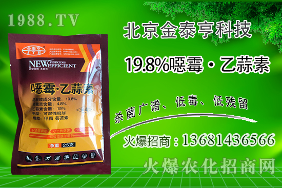 連年種植番茄青枯病越來越重！番茄青枯病可以防治嗎？用什么藥？